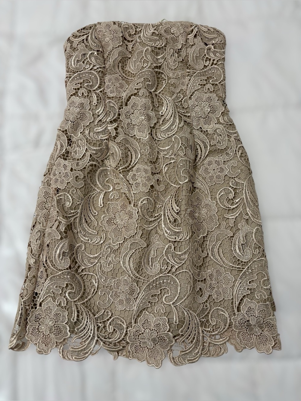 Adrianna Papell size 8  Strapless Lace Cocktail Dress in Taupe